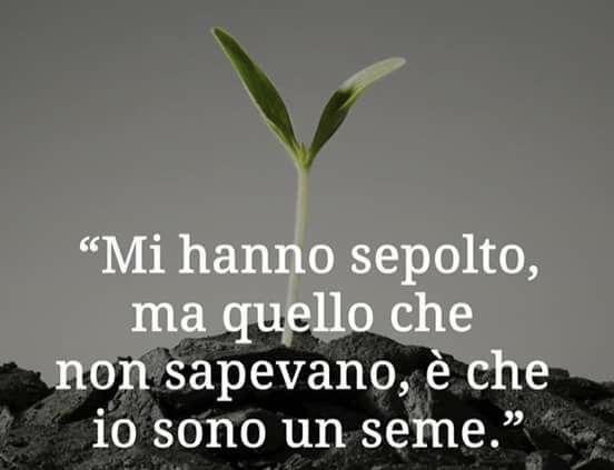 Mi hanno sepolto, ma quello che non sapevano è che io sono un seme